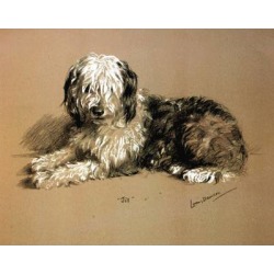 Porter Fine Art Dog Prints - Jill