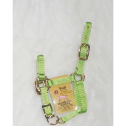 Hamilton Nylon Adjustable Halter For Foals