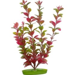 Marina Aquascaper Plant Variety Pack