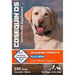 Cosequin DS Plus MSM Chewable Tablets for Dogs