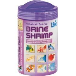 Brine Shrimp Fish Food
