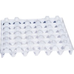 Egg Tray