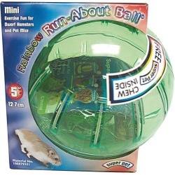 Rainbow Run About Ball For Small Animals