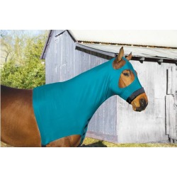 Perri's Lycra Hood