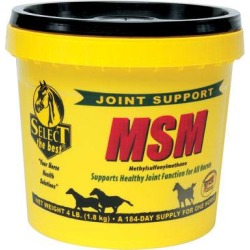 Select the Best MSM Powder