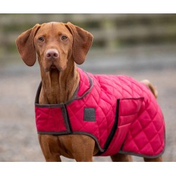 Shires Digby & Fox Quilted Dog Coat found on Bargain Bro Philippines from horseloverz.com for $31.99