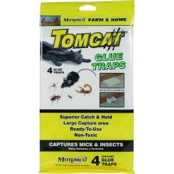 Tomcat Glue Traps For Mice And Insects