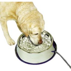 Thermal Bowl Heated Pet Bowl