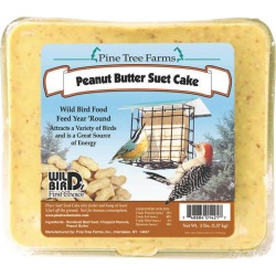Peanut Butter Suet Cake