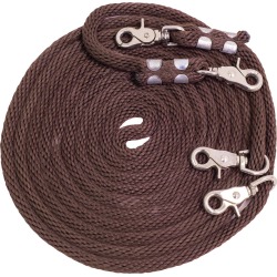 Training Draw Reins