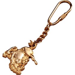Bronco Key Chain