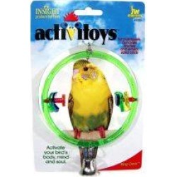 Ring Toy For Birds