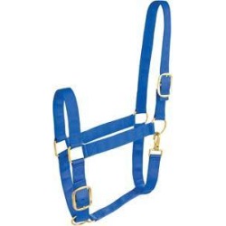 Abetta Draft Horse Halter
