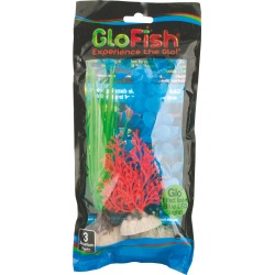 Glofish Plant, 3 Pack