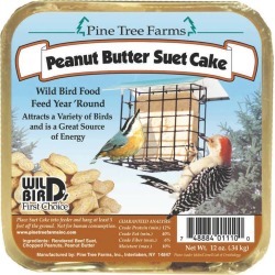 Peanut Butter Suet Cake
