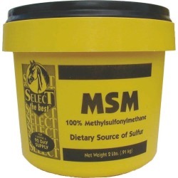 Select the Best MSM Powder