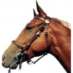 Shenandoah Trail Halter Bridle Combo