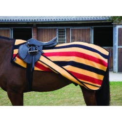 Newmarket Exercise Sheet