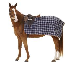 Centaur Fleece Exercise Sheet