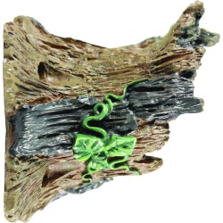 The Natural Bird Guardian Birdhouse Protector