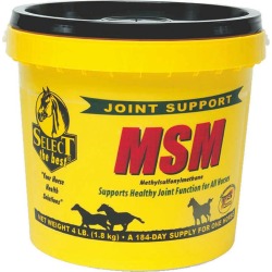 Select the Best MSM Powder