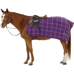 Centaur Fleece Exercise Sheet