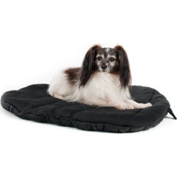 Back On Track Dog Travel Beds