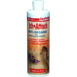 Kordon Ich Attack