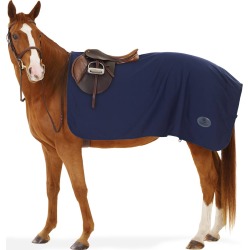 Centaur Turbo-Dry Exercise Sheet