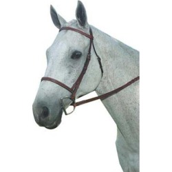 Kincade Plain Raised Bridle