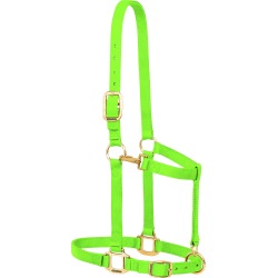 Weaver Nylon 1" Adjustable Draft Horse Halter