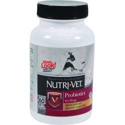 Probiotics Capsules
