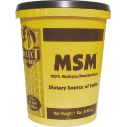 Select the Best MSM Powder