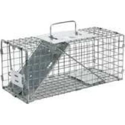 Professional Squirrel Trap