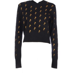 Chloé Long Sleeves Crewneck Fantasy