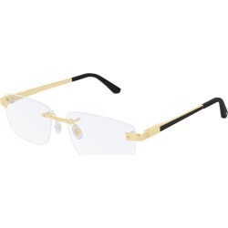 Cartier Eyewear CT0201O Eyewear