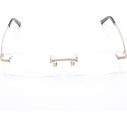 Cartier Eyewear CT0087O Eyewear