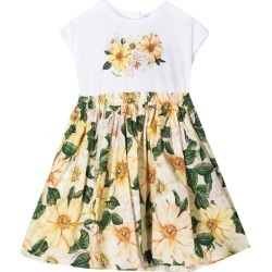 Dolce & Gabbana Floral Dress With