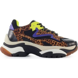 Ash Addict Multicolor Leopard Sneaker