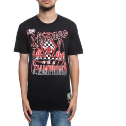 Chicago Bulls Checked 1996 Champions Tee