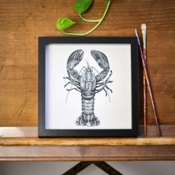 Lobster Print