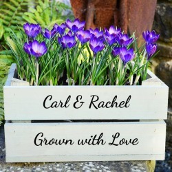 Personalised Small Crate With Crocus Bulbs
