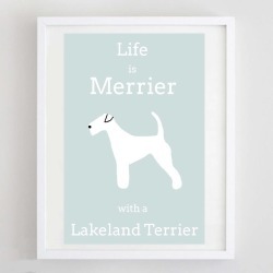 Life Is Merrier With A Lakeland Terrier Print