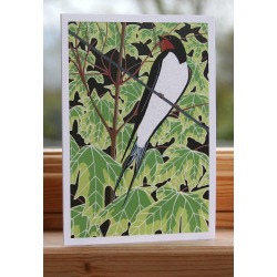 Swallow Card