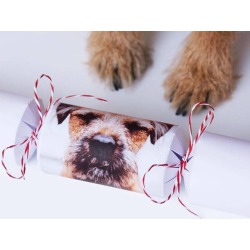 Personalised Pet Photo Treat Cracker