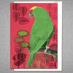 Parrot Greetings Card