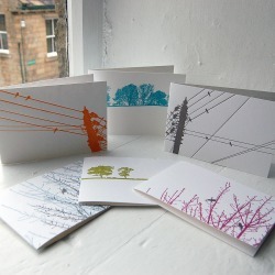 Birds And Landscapes Greeting Cards Birds And Landscapes Greeting Cards