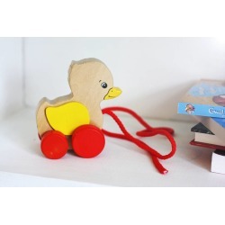 Pull Along Wooden Toy