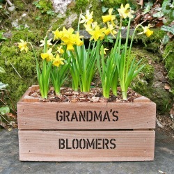 Personalised Small Crate With Daffodil Bulbs