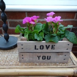 Personalised Wooden Mini Crate